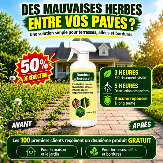 En tant que client chanceux, vous avez une nouvelle occasion de profiter d'une réduction de 90% sur votre prochain shopping !