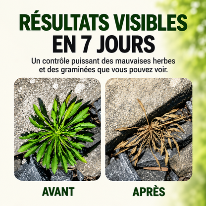 🔥2026 SALE - Fast-Acting Natural Weed & Grass Killer Spray