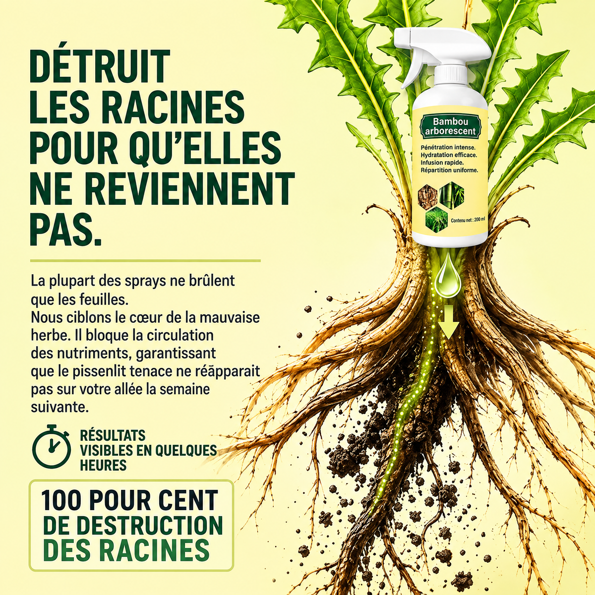 🔥2026 SALE - Fast-Acting Natural Weed & Grass Killer Spray